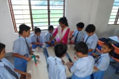 Science Activity